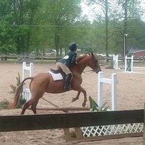 Meet your Posher, Ana